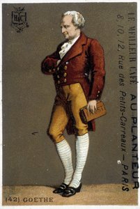 Porträt von Goethe. Zeichnung sd. 19. Jahrhundert. Porträt von Goethe zu Fuß. Zeichnung sd. 19. Jahrhundert
