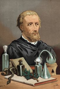 Porträt von Philippus Aureolus Theophrastus Bombastus von Hohenheim Paracelsus von Unknown artist
