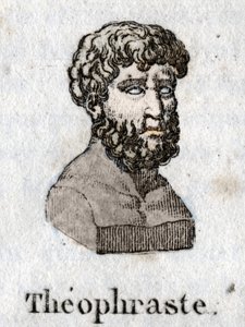 Porträt von Theophrast (372 v. Chr. - 287 v. Chr.), griechischer Philosoph.