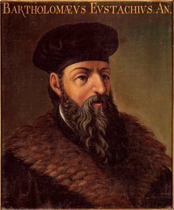 Porträt des italienischen Anatomen und Arztes Bartolomeo Eustachi (1505-1574) von Unknown artist