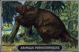 Prähistorisches Tier: ein Mylodon.