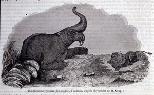 Prähistorie: Darstellung eines Dinotheriums, einer Art von Dickhäuter, der den Angriff eines Löwen abwehrt. Gravur aus dem 19. Jahrhundert
