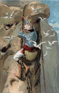 Sammlung von Salangan-Schwalbennestern in Malaysia. Chromolithographie aus dem späten 19. Jahrhundert.