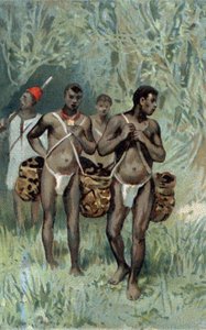 Kautschukernte im Kongo. Chromolithographie des späten 19. Jahrhunderts