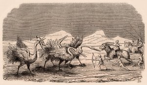 Darstellung mittelalterlicher Stämme und Tierarten: Gruppe von Pygmäen, die gegen Kraniche kämpfen