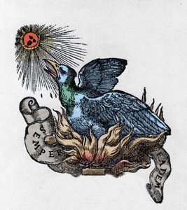 Darstellung eines Phönix, legendärer Vogel, der aus seiner Asche wiedergeboren wird. Gravur des 19. Jahrhunderts von Unknown artist