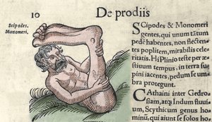 Darstellung eines Sciapod-Monsters Gravur aus „Das Buch der Prodigiorum ac ostentorum Chronicon Basileae“ von Wolfhart (Conrad Lycosthene) 1557 von Unknown artist
