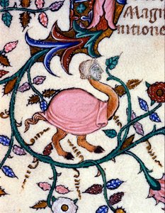 Darstellung eines Monsters mit Straußenkörper und Menschenkopf (Miniatur) von Unknown artist