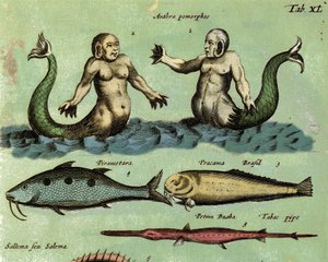 Darstellung einer Sirene und eines Tritons, einer fantastischen Meereskreatur, beschrieben in einem Zoologie-Atlas. Detail. 17. Jahrhundert von Unknown artist