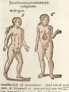 Darstellung eines Androgynen und eines Hermaphroditen. Platte aus „De natura Divinis caracteris“ von Cornelio Gemma 1575