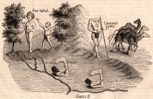 Darstellung mittelalterlicher Stämme und Tierarten: Monokel, Blemmys, Sciopoden und Kamele
