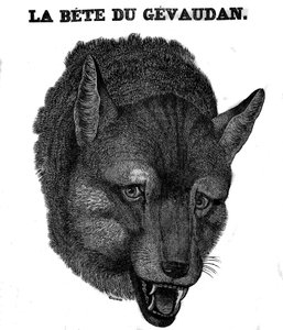 Darstellung der Bestie von Gévaudan von Unknown artist