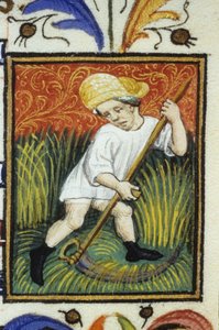 Darstellung des Monats Juni. Ein Bauer mäht grünen Weizen. Miniatur eines Manuskripts aus dem 14. Jahrhundert. von Unknown artist