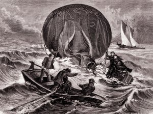 Rettung des Habs-Balls, veranstaltet von Herrn und Frau Durouf. Schiffbruch an der Küste Englands am 1. September