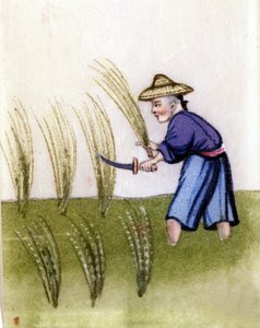 Reisanbau in China. Malerei auf Reispapier von Unknown artist