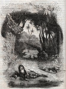 Ruggiero auf der Insel Alcina - Gravur von 1851 aus dem Gedicht Orlando furioso (1516) von Ludovico Ariosto - Ausgabe übersetzt aus dem Italienischen von Graf von Tressan und veröffentlicht von Gustave Harvard 1851