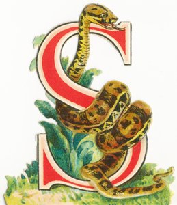 S: Schlange