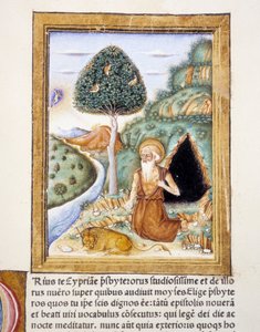 Heiliger Hieronymus - Miniatur