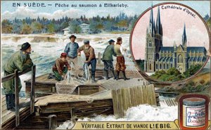Lachsfang in Elfkarleby, Schweden. Chromolithographie, Liebig-Bild
