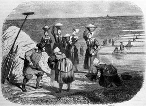 Salzproduktion: Frauen arbeiten in Salzgärten. Gravur des 19. Jahrhunderts von Unknown artist