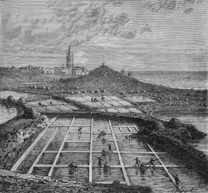 Salzarbeiter in einem Salzsumpf in Bourg de Batz, nahe Croizic (Bretagne) während der Saunage-Periode. In „Wunder der Industrie“ von Louis Figuier. von Unknown artist