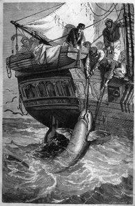 Haifischfang von Unknown artist