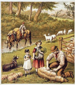 Schafe beim Mähen von Unknown artist