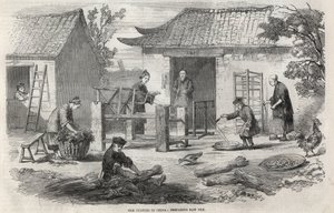 Seidenproduktion in China und die verschiedenen Herstellungsstufen.