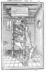 Schädelanschnitt. Anatomische Tafel aus „De dissectione partium corporis humani libri tres...“ von Carlo Stefano Riverio, Paris 1545 von Unknown artist
