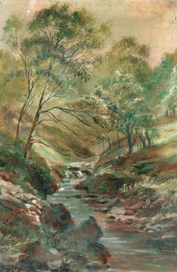 Bach durch einen Wald von Unknown