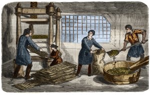 Zuckerherstellung: Saftgewinnung aus Rübenbrei. Der Brei wird in Säcke gestopft, die unter das Tablett einer hydraulischen Presse gestapelt werden. Gravur von 1859. im „Das Museum der Wissenschaften“