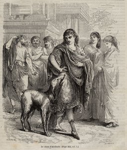 Der Hund des Alkibiades - Der Hund des Alkibiades, Staatsmann, Redner und General der Athener, 450-404 v. Chr., Gravur von 1864