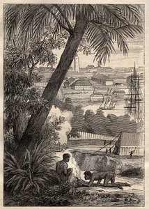 Die Expedition in die südlichen Länder (1800-1803) von Nicolas Baudin (1754-1803): Ansicht von Sydney (Australien) - Illustration aus „Die großen Seefahrer des 18. Jahrhunderts“ von Unknown artist
