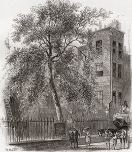 Die Platane, Wood Street, Cheapside, London, England im 19. Jahrhundert