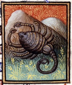 Der Skorpion. Miniatur eines Horoskops. Manuskript aus dem 15. Jahrhundert. Bibl. Trivulziana, Mailand.