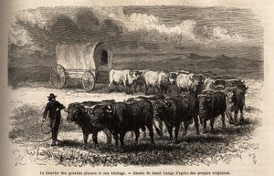 Das große Prärie-Rind und sein Gespann. Gravur zur Illustration der Reise in den amerikanischen Wilden Westen, von M. L. Simonin, 1867, veröffentlicht in „Le tour du monde, nouveau journal des voyages“, herausgegeben von Edouard Charton von Unknown artist