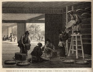 Die Zucht und der Handel mit Seidenraupenkokons: eine Magnanerie für die Seidenraupenzucht, mit im Hintergrund der Anbau von Maulbeerbäumen, die für die Fütterung von Bombyx unerlässlich sind. Gravur zur Illustration der Reise nach Japan, von Aime Humbert,