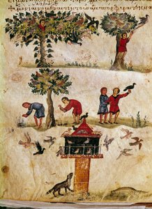 Die Zucht und Ausbildung von Falken. Miniatur aus der Jagd „Die Cynegetics“ von Oppian von Syrien (3. Jahrhundert n. Chr.), gewidmet Caracalla. 11. Jahrhundert Venedig, Biblioteca Marciana