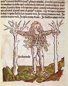Das Sternbild Andromeda (Detail) aus „Poeticon astronomicon“ zugeschrieben dem römischen Historiker Hygin (1. Jahrhundert v. Chr.) von Unknown artist