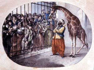 Die neugierige Menge drängte sich, um eine Giraffe hinter einem Tor zu sehen. Lithographie von Danhaaren. 1829