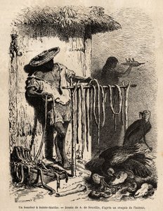 Der Stand eines Metzgers in den Vororten von Sainte Martha (Santa Marta, Kolumbien), die Ochsen bluten und die Haut wird sorgfältig gespannt, das Fleisch wird in Streifen geschnitten und gesalzen und getrocknet, der Rest, ungenießbar, wird auf den Boden ge von Unknown artist