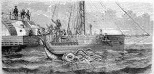 Der erste Riesenkalmar, der 1861 von der französischen Korvette Alecton gefangen wurde. Als die Besatzung ihn an Bord hievte, brach er in zwei Teile und verschwand im Meer. Gravur aus dem späten 19. Jahrhundert. Breton von Unknown artist