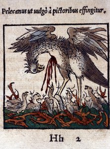 Die Legende des Pelikans: Er gibt sein Blut und seine Eingeweide, um seine Jungen zu füttern. Aus Historiae animalium von Konrad Gesner, Tiguri von Unknown artist