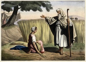 Das Treffen von Ruth und Boaz. Anonyme Gravur aus der Mitte des 19. Jahrhunderts. von Unknown artist