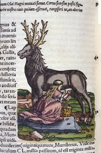 Der Rentierhandel nach Historiae animalium von Konrad Gesner, Tiguri