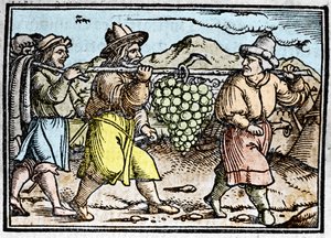 Die Rückkehr von Josua und Kaleb mit einer riesigen Traube aus dem Land Kanaan (Gelobtes Land). Chronik von Johann Stumpff „Den edlen strucen besten fromen“ von Unknown artist