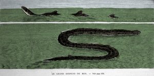 Die Seeschlange, beobachtet 1872 im südlichen Atlantik. von Unknown artist