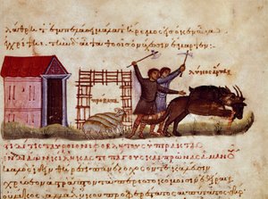 Die Hirten verteidigen das Tier vor dem Angriff der Wölfe. Miniatur aus dem Jagdtraktat „Kynegetika“ von Oppian von Syrien (3. Jahrhundert n. Chr.), gewidmet Caracalla. 11. Jahrhundert, Venedig, Biblioteca Marciana von Unknown artist