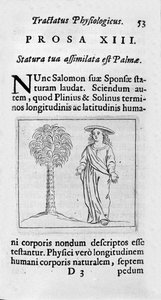 Die Größe der Frau. Seite aus „Tractatus physiologicus de pulchritudine“ von Ernesto Venio, der die Schönheit der Schöpfung gegen einen anonymen Gegner verteidigt. 1612 von Unknown artist
