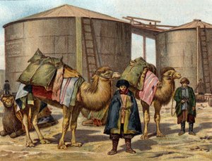Der Transport von Öl auf Kamelen im Kaukasus von Unknown artist